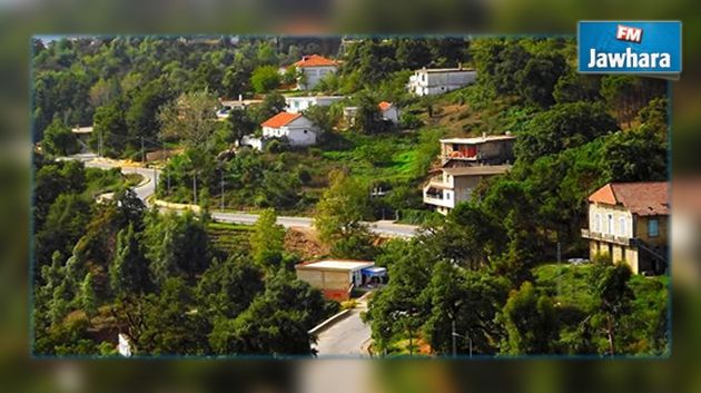 Tabarka : Baisse du nombre de touristes résidents dans des hôtels