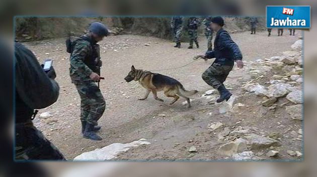 Bizerte : Un garde forestier blessé par balle au mont Béni Daoued