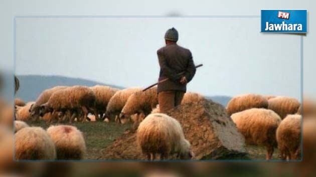 Kasserine : Disparu depuis ce matin, un jeune berger a été retrouvé