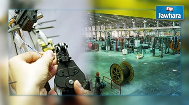 Le Kef : Plus de 300 ouvriers de l’usine des câbles sur le point d'être licenciés
