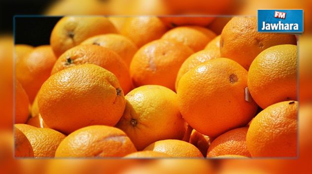 Démarrage prochain de l'exportation des oranges maltaises vers la France
