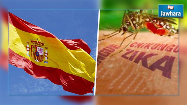 Virus Zika : L'Espagne met en garde contre 