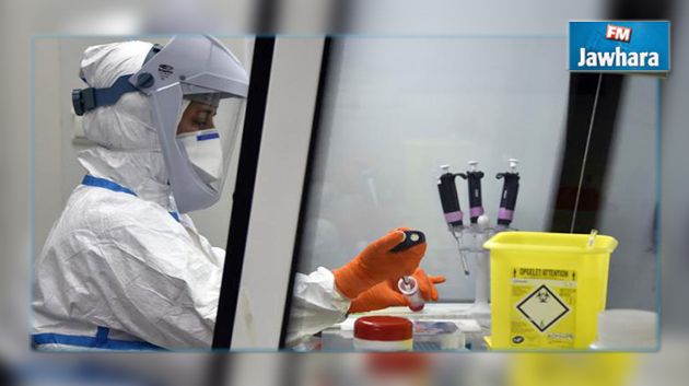 Cancer du pancréas : Vers la découverte d’un remède ?