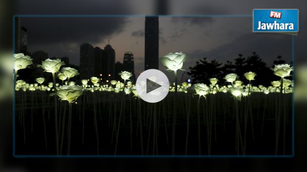 Des milliers de fleurs illuminées à Hong-Kong pour fêter la Saint-Valentin