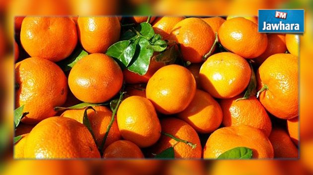 Les exportations d'agrumes reculent de 21%