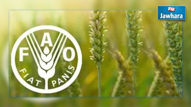 FAO : L'indice des prix alimentaires stable en février