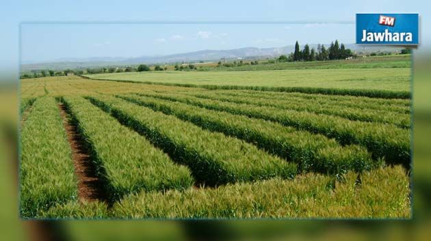 Liste des terrains agricoles destinés à la location