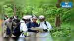 Japon : L'enfant disparu dans la forêt depuis 6 jours retrouvé sain et sauf