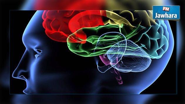 Etude : Plus de tumeurs du cerveau chez les diplômés