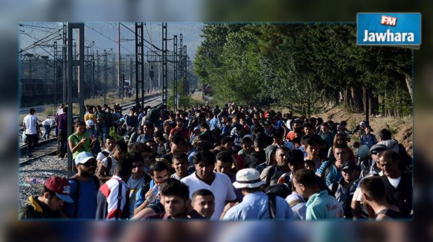 Grèce : Des réfugiés maghrébins se présentent comme Syriens