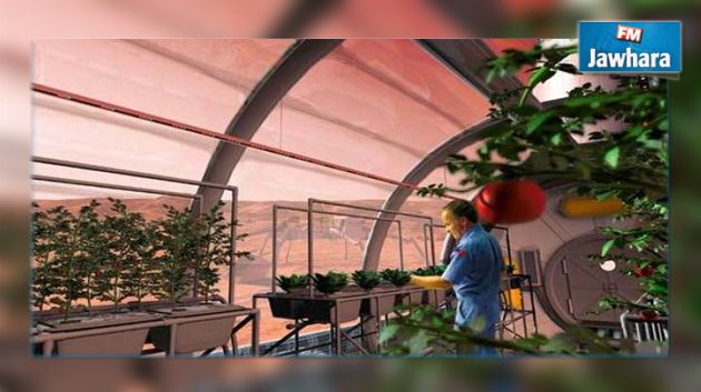 Les légumes cultivés sur la planète Mars sont comestibles