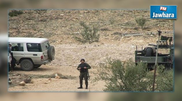 Armée nationale: Ratissage des montagnes du Kef et de Jendouba