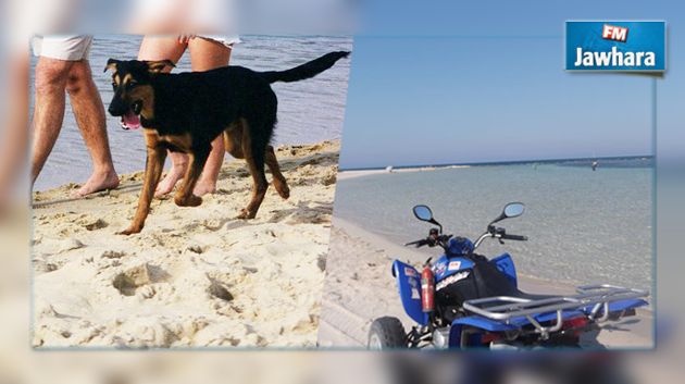 Lancement d'une campagne pour l'interdiction des quads et des chiens dans les plages de Nabeul