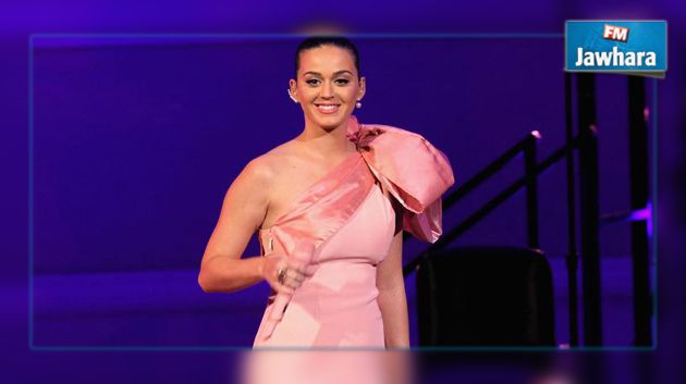Katy Perry, la star la plus suivie sur Twitter