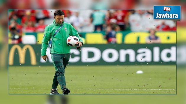 Euro 2016 : Invasion de papillons au stade de France