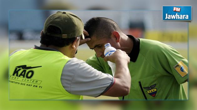 Equateur : Un match de football suspendu à cause d'une attaque d'abeilles