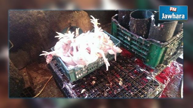 Manouba : Saisie d'une tonne et demi de viande de poulet impropre à la consommation