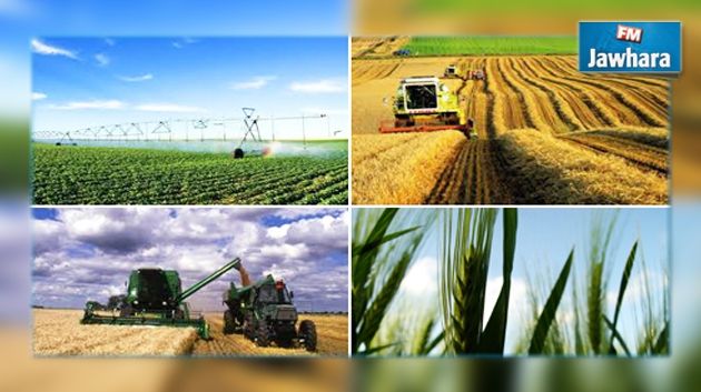Développement agricole: Désignation de nouveaux délégués régionaux dans 5 gouvernorats
