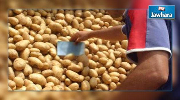 Les prix de la pomme de terre fixés