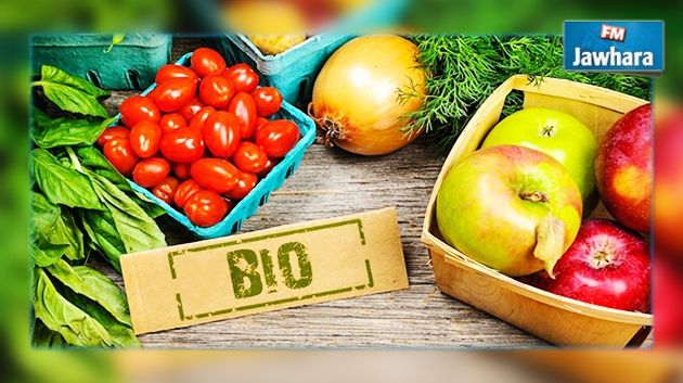 Agriculture Bio : Un secteur prometteur en Tunisie