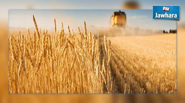 Coup d'envoi d'un programme d'aide aux céréaliers de Sidi Bouzid