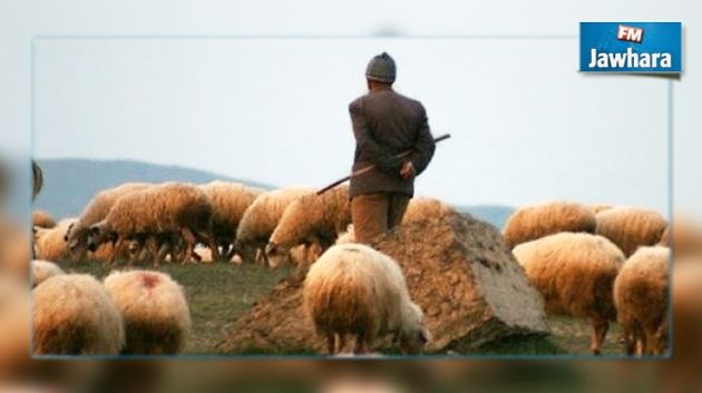 Disparition d'un berger à Jebel Touiref