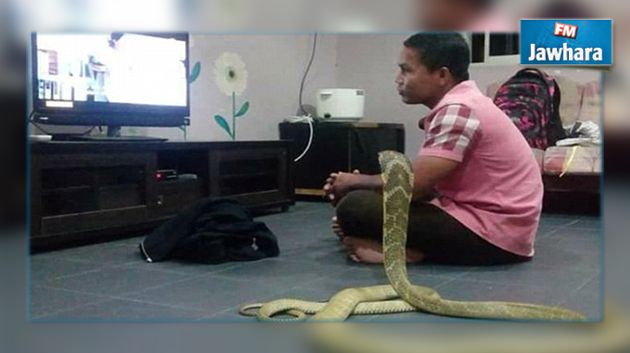 Un homme choisit un serpent pour épouse