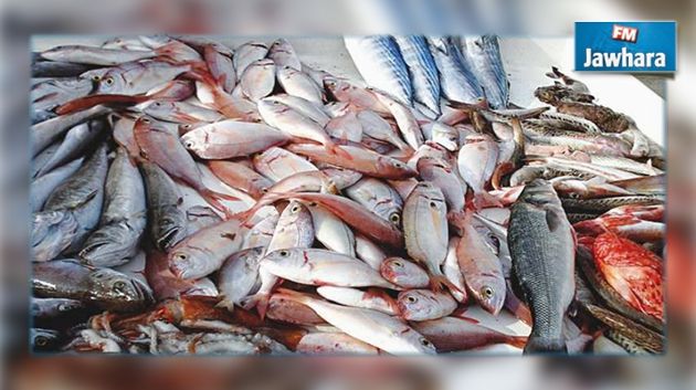 Teboulba: Saisie de 2,4 tonnes de poissons importés de la Libye