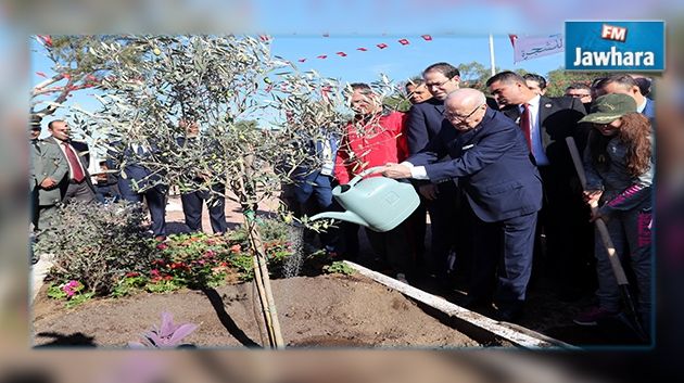 Caïd Essebsi participe à la célébration de la fête de l'arbre à Jebel Lahmar