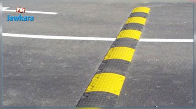 Monastir : un inventeur tunisien transforme les dos d’ânes en source d'énergie