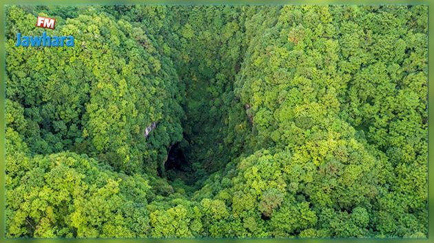 Chine : Découverte du plus grand groupe de dolines naturelles au monde