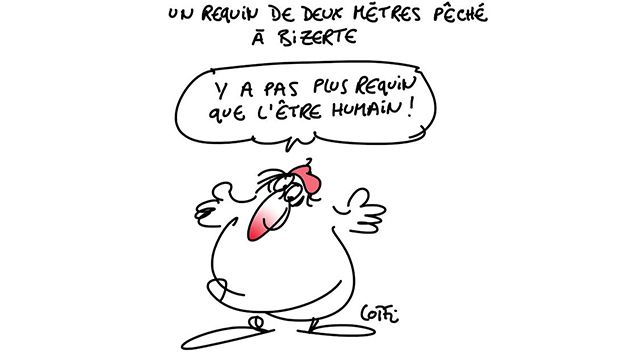 Caricature du mardi 3 janvier 2017