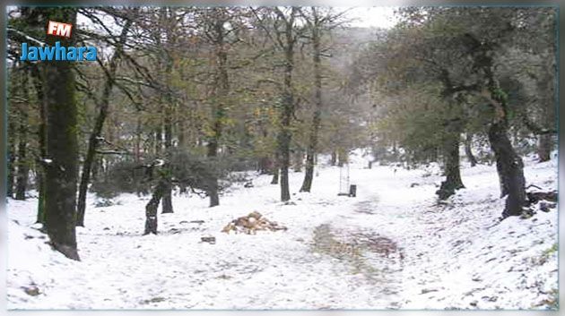 Le Kef : Des mesures préventives pour faire face à la vague de froid