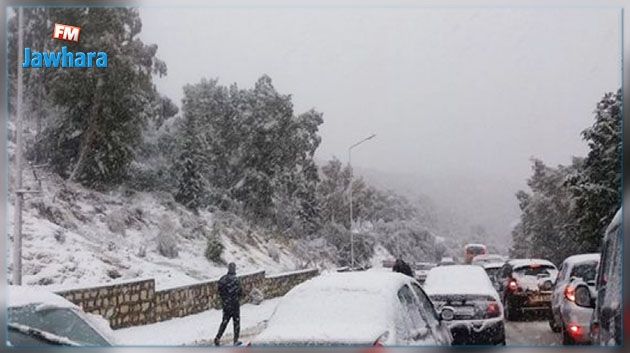 Aïn Draham : Des citoyens protestent et appellent à limoger le délégué