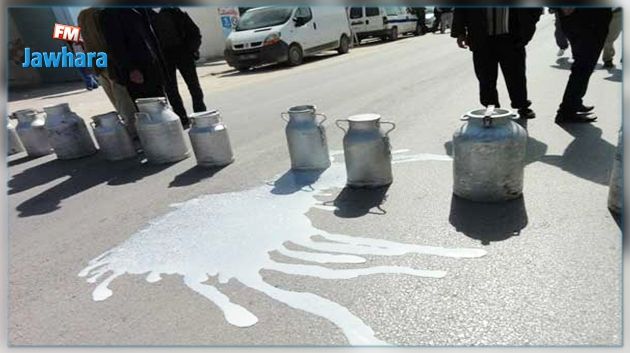 Les producteurs de lait menacent d'interrompre la production: Voici leurs revendications