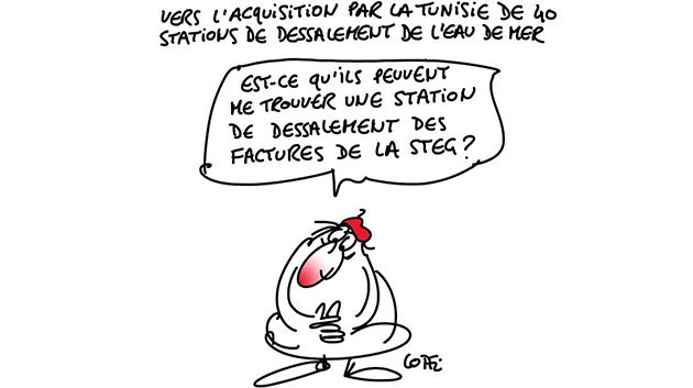Caricature du samedi 21 Janvier 2017