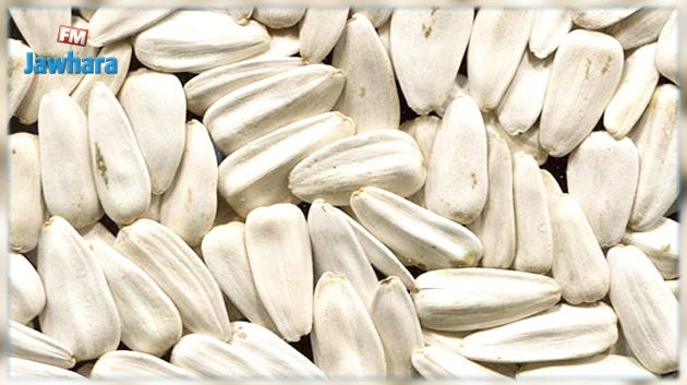 Mahdia : Saisie de 580 sacs de graines de tournesol blanches de Turquie
