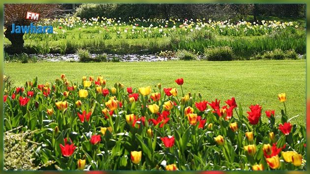 Printemps 2017 : Pourquoi ça tombe le 20 mars ?