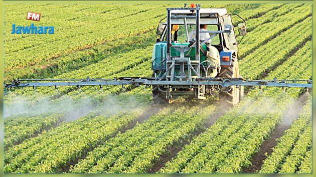 Bizerte : une partie de la dette des agriculteurs effacée automatiquement