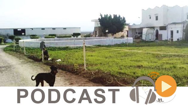 Nabbar News du vendredi 5 mai 2017