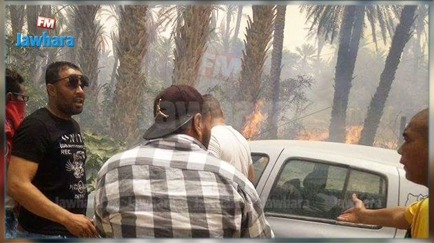 Incendie dans une oasis à Tozeur