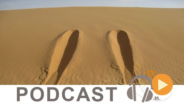 Journal Info 12h00 du jeudi 1er juin 2017