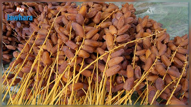 Kairouan :  Saisie de plus de 500 tonnes de dattes impropres à la consommation