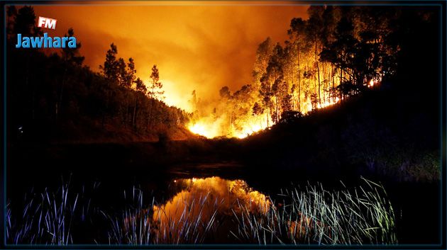 Au moins 43 morts dans un violent feu de forêt au Portugal