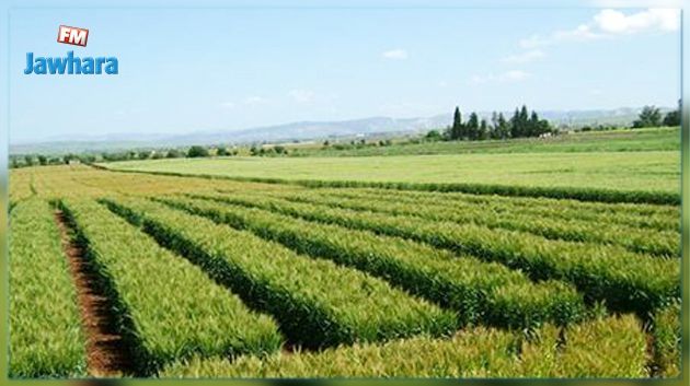 L'Etat récupère 26 hectares de terrain