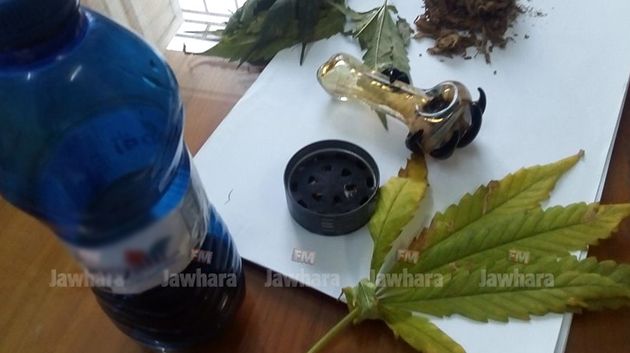 Mahdia : Un homme fait pousser de la Marijuana à son domicile