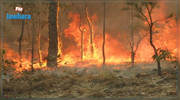 Poursuite des interventions pour maîtriser deux incendies à Sejnane 