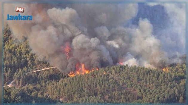 Incendies à Sejnane : Les services de la protection civile à pied d'oeuvre