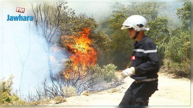 Les incendies de Sejnane maîtrisés 