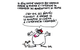 Caricature du dimanche 29 octobre 2017